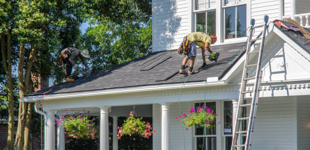Best Roof Moss and Algae Removal  in Rochester, IL